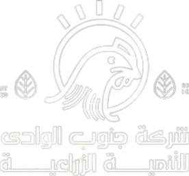 شركة جنوب الوادي